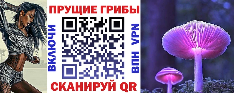 Галлюциногенные грибы Magic Shrooms  закладка  Горбатов 
